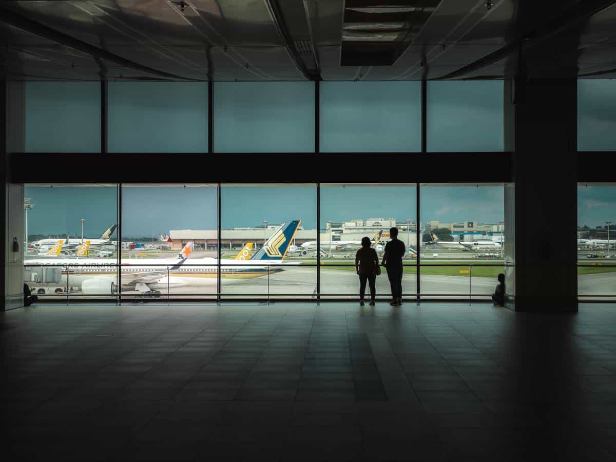 To fly or not to fly? That is the question